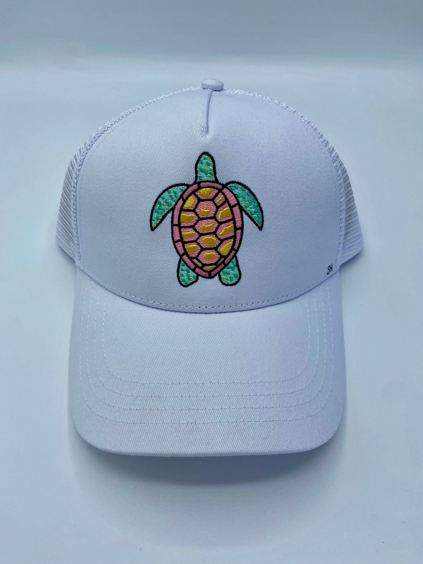 Coast to Coast Turtle